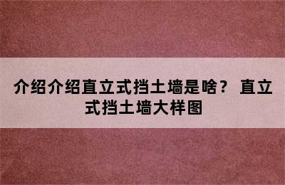 介绍介绍直立式挡土墙是啥？ 直立式挡土墙大样图